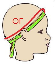 голова схема